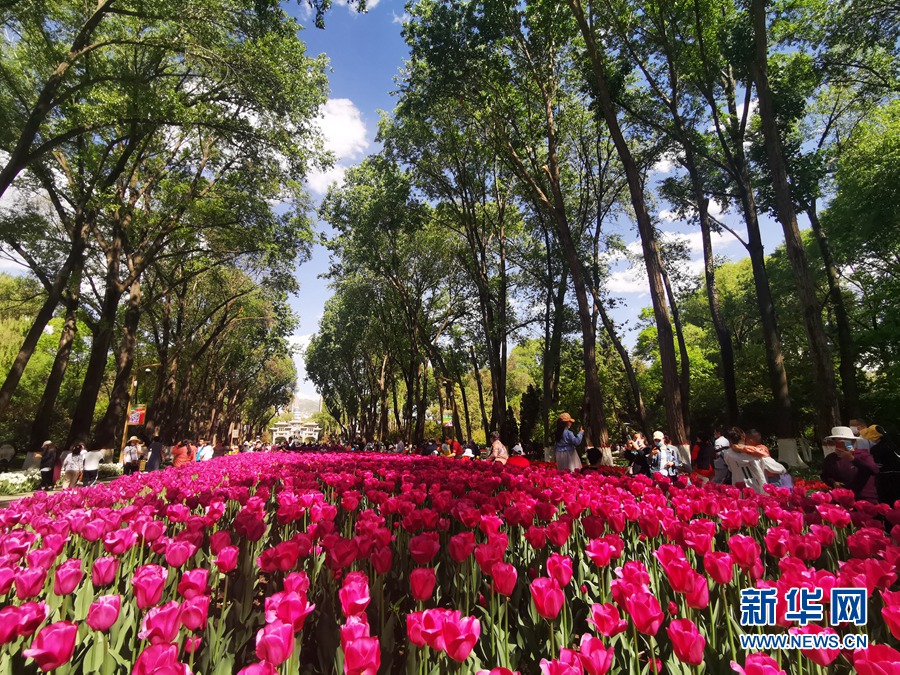 处处是风景 万般皆颜色 青海这么美的样子想给你看