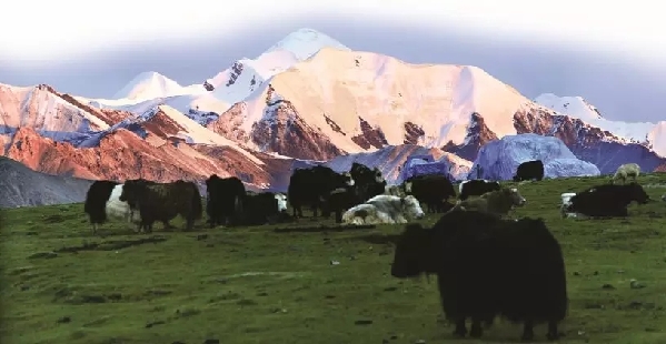 青海非遗--民间文学阿尼玛卿雪山神话传说