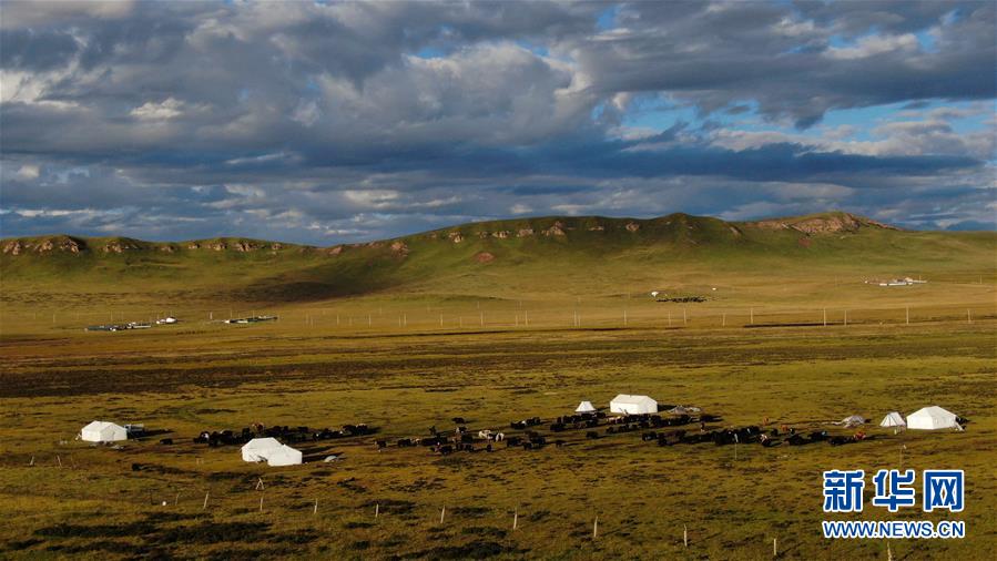 『新华社』生态畜牧业唱响草原新牧歌