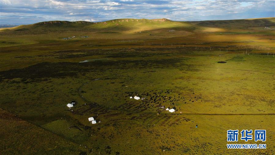 『新华社』生态畜牧业唱响草原新牧歌