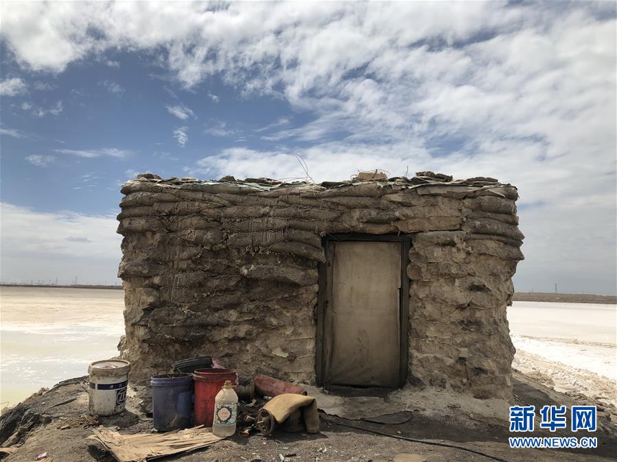 「新华社」盆地里的生长