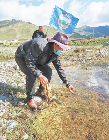 【青海日报】黑河源头的民间环保卫士