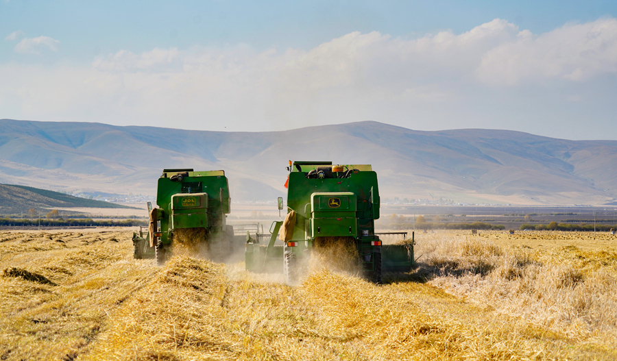 丰收的喜悦！天佑德青稞酒原粮种植基地喜获丰收2020-10-14 10:37:38