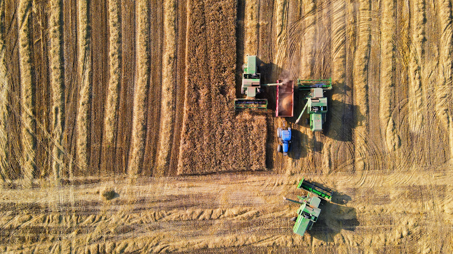 丰收的喜悦！天佑德青稞酒原粮种植基地喜获丰收2020-10-14 10:37:38