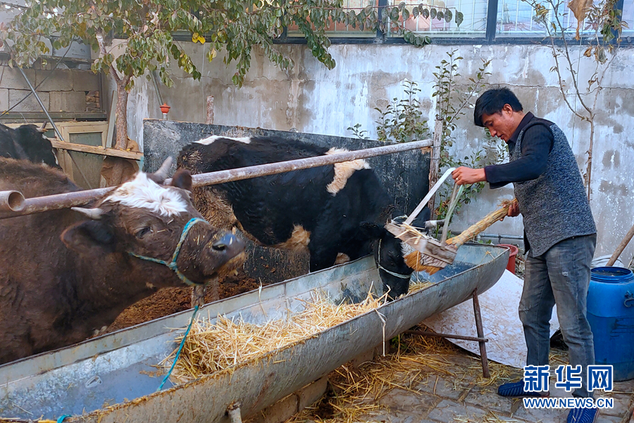 「新华网」清水河畔唱起“致富歌”