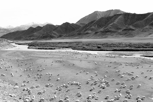 「青海日报」让祁连山更美丽