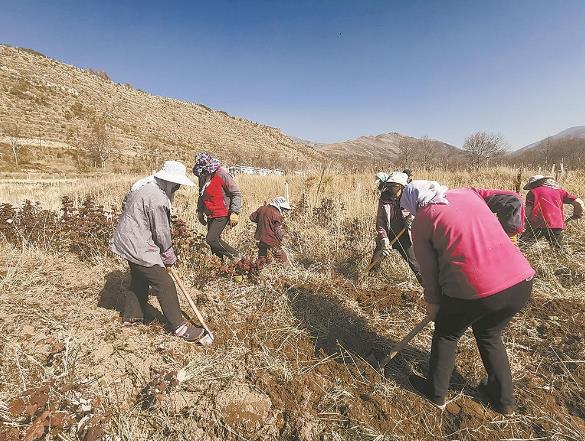 青海日报■前沟村，昔日穷山窝 今朝幸福村