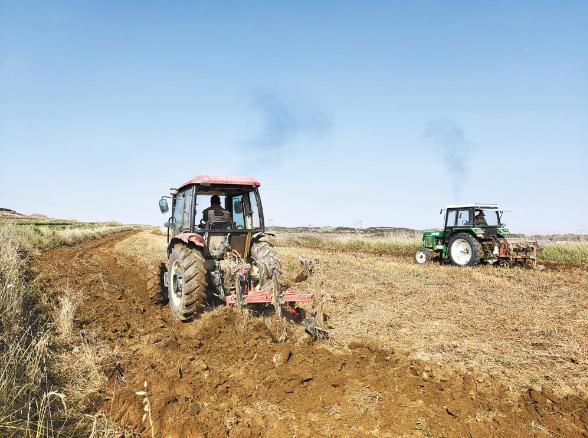 青海日报@大山里原生态的新“硒”望