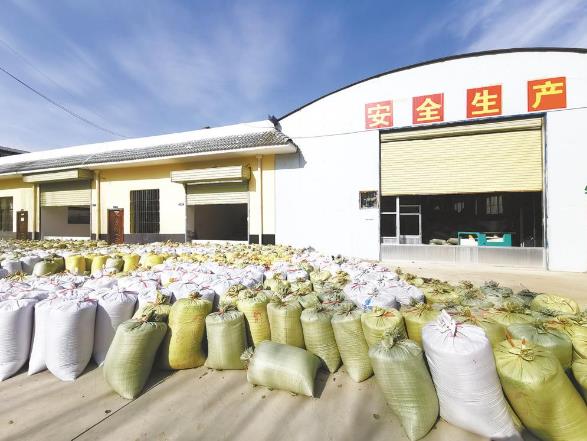 青海日报@大山里原生态的新“硒”望