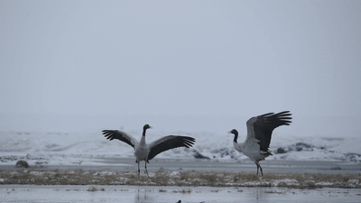 新华网■青海刚察，原来这么美！