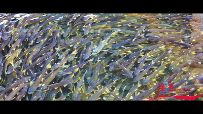 新华网■青海刚察，原来这么美！