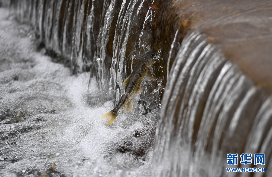 新华网■青海刚察，原来这么美！