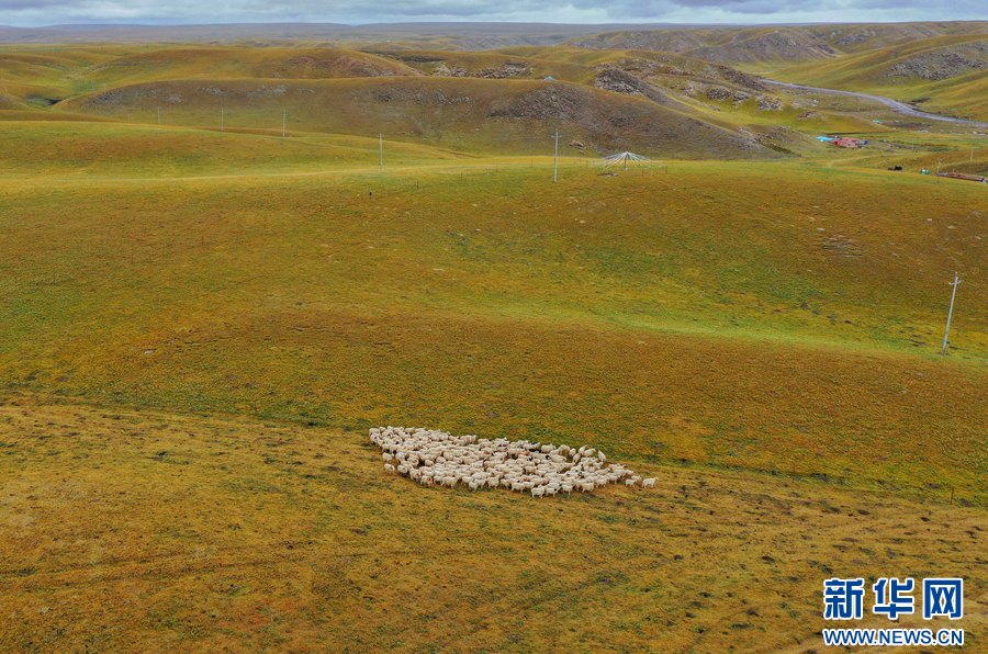 新华网■青海刚察，原来这么美！