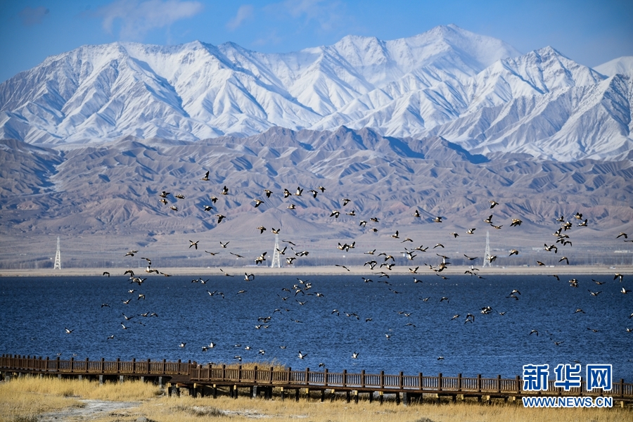 [新华网]生态青海丨乌兰县的都兰湖