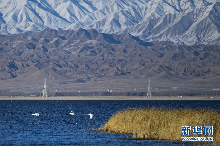 [新华网]生态青海丨乌兰县的都兰湖