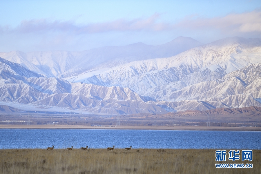 [新华网]生态青海丨乌兰县的都兰湖