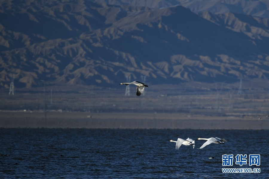 [新华网]生态青海丨乌兰县的都兰湖