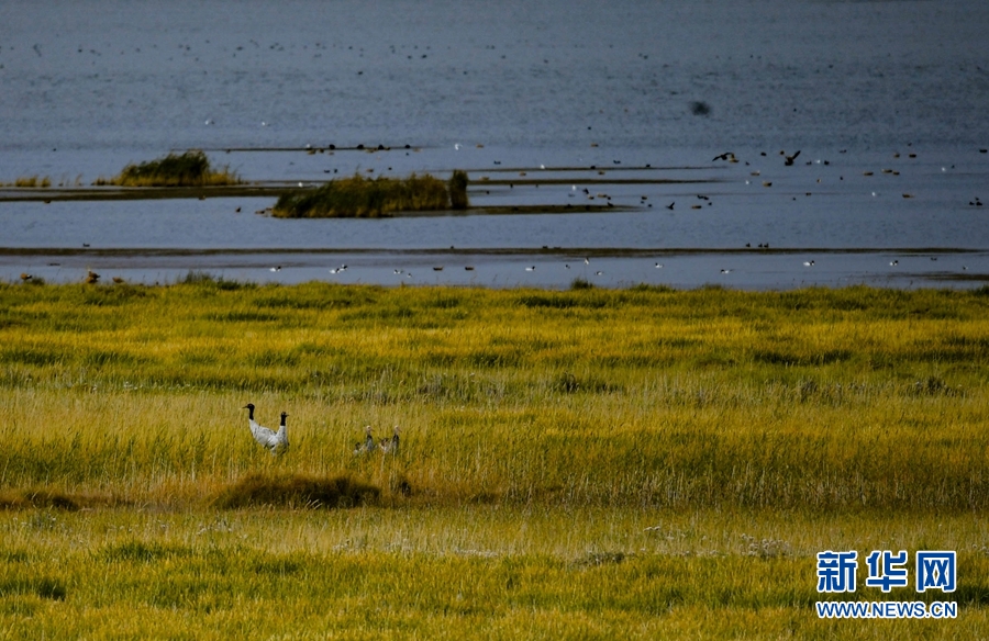 [新华网]生态青海丨乌兰县的都兰湖