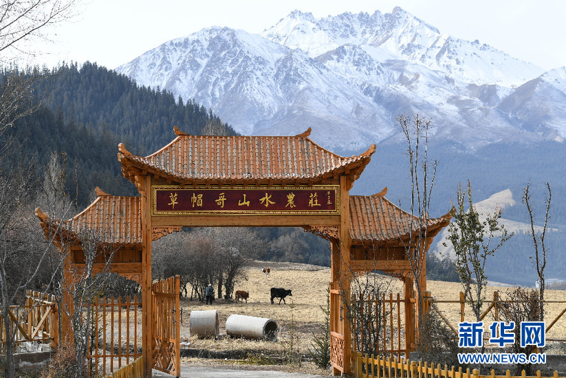 『新华网』羊棚变农庄 “草帽哥”的美丽新生活