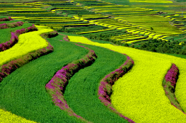 青海西宁：10条乡村旅游开云 开云体育精品线路带你邂逅最美风景(图3)