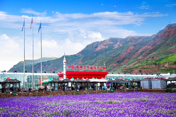 青海西宁：10条乡村旅游开云 开云体育精品线路带你邂逅最美风景(图4)