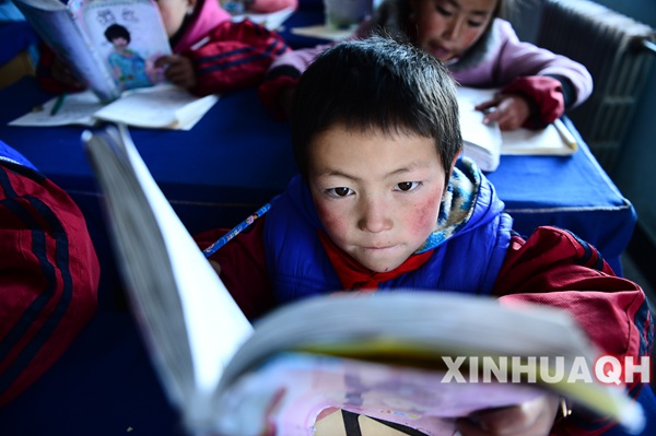 青海推进农牧区教育