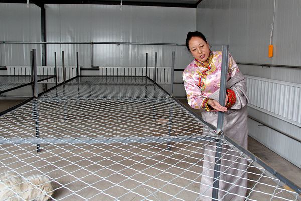 李利什吉在鸡苗孵化基地查看孵化床