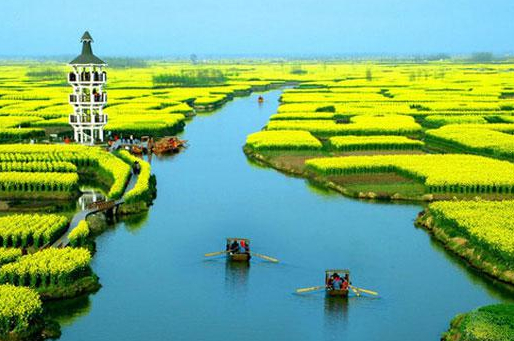 何必非去婺源凑热闹 人少景美油菜花田推荐