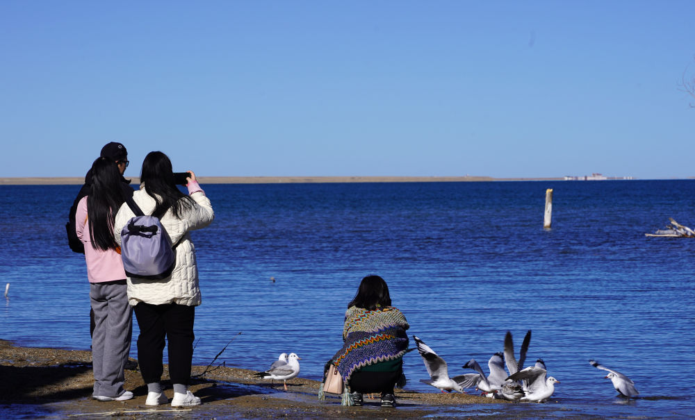 冬日青海湖