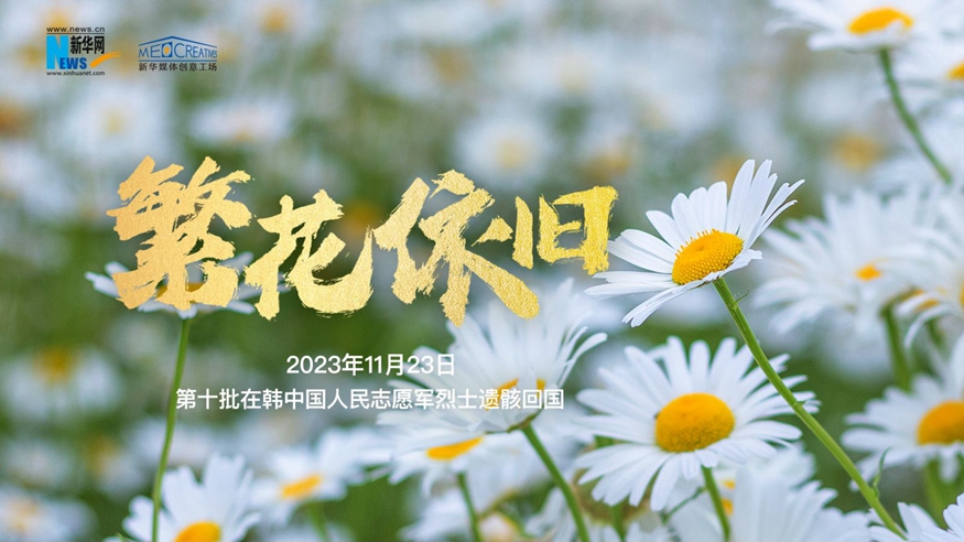 英雄回家｜繁花依旧