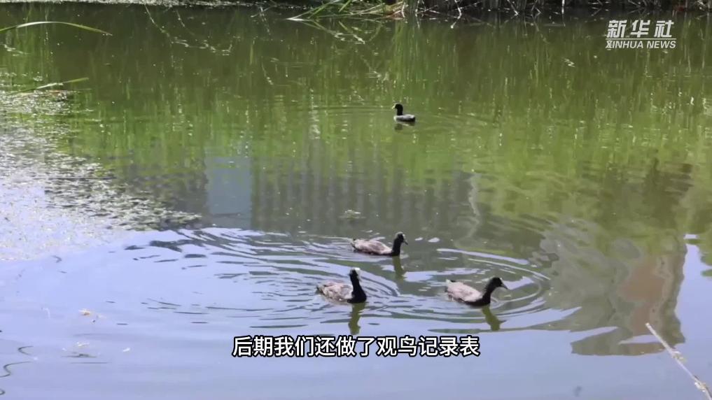青海西宁：走进自然 学习观鸟