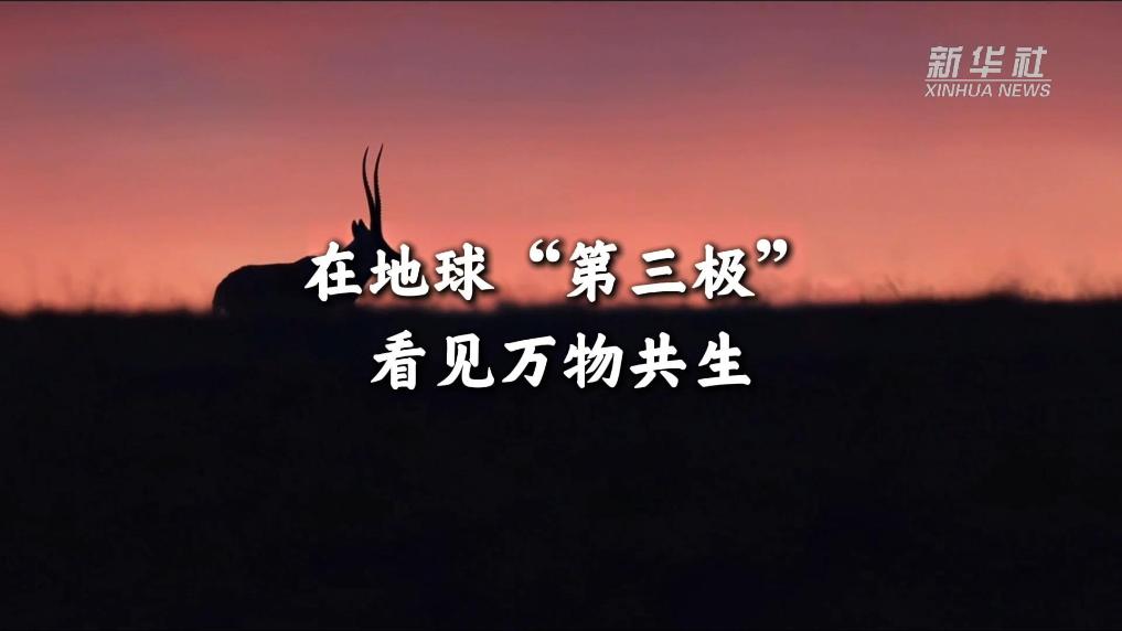 在地球“第三极”看见万物共生