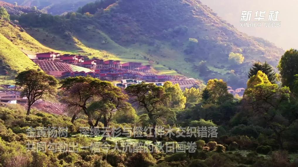 青海西宁：云赏群加国家森林公园秋日美景