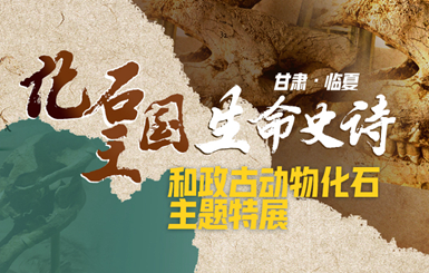 甘肃和政古动物化石特展1月24日亮相深圳