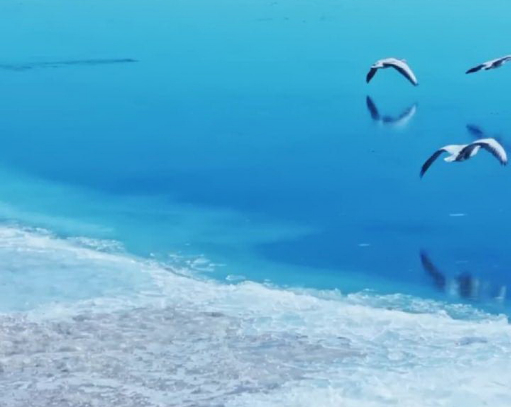 秀我中国｜青海湖开湖！“文开”“武开”同框上演