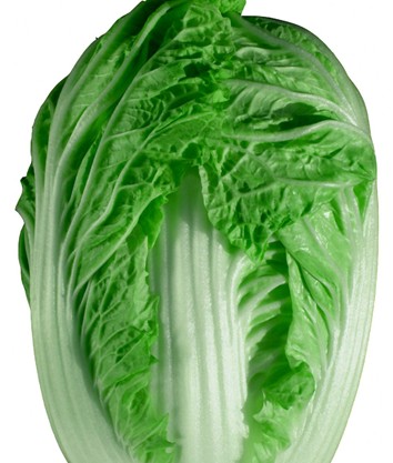 吃发芽的土豆会中毒?13种食物禁忌