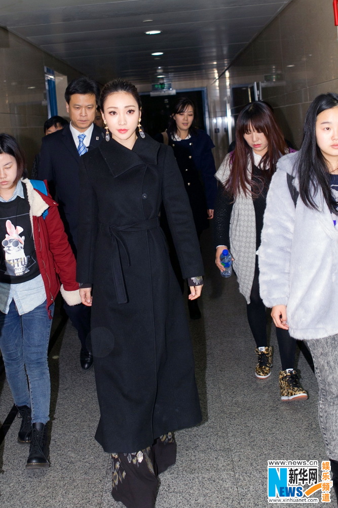 柳岩深V裹身裙男粉丝惹尖叫