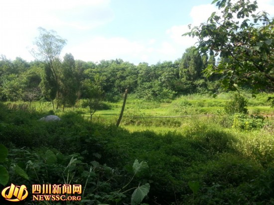 四川91岁姐姐照顾88岁聋哑弟弟77年 演绎人间