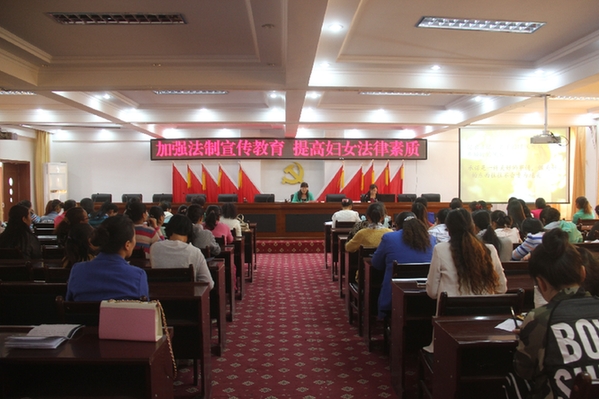 《妇女权益保障法》成为妇女手中的保护伞