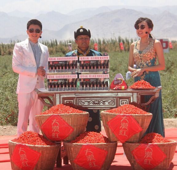 湖南卫视快乐购走进都兰 100%枸杞汁大受欢迎