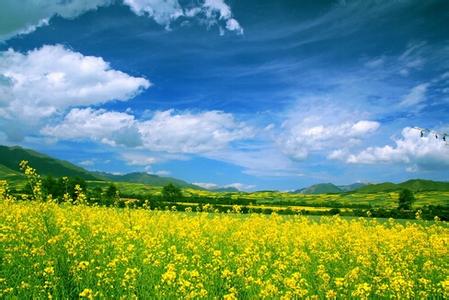 都兰县农牧林业和扶贫开发局切实抓好生态环境