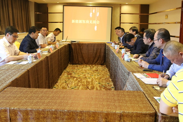马永安会见新能源企业负责人就都兰县新能源产