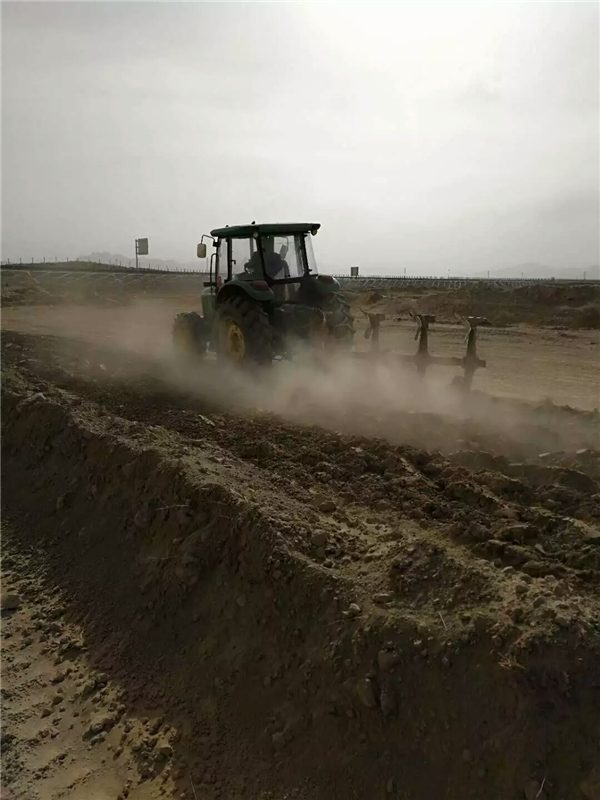 产业发展出实招东山根下村村集体产业破冰