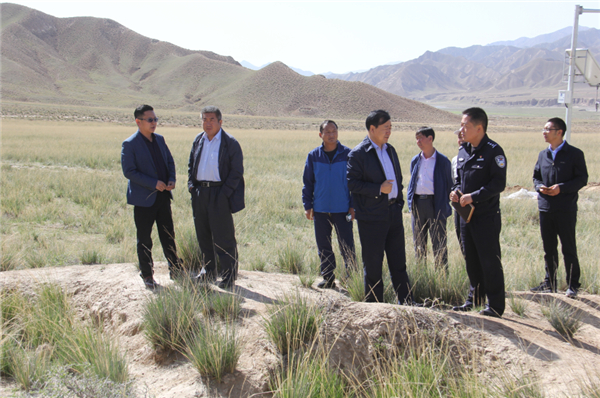 县委、县政府主要领导实地检查文保工作