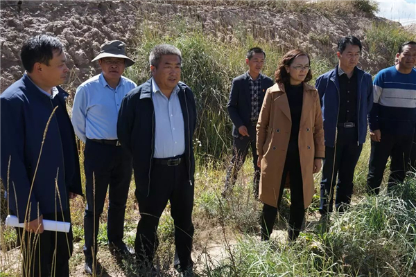 县委书记焦胜章率东部调研督察组深入香日德镇开展"大