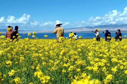 湟中县人民政府