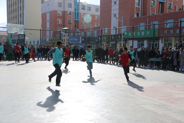 源县农牧民和机关事业单位迎新年男子篮球赛