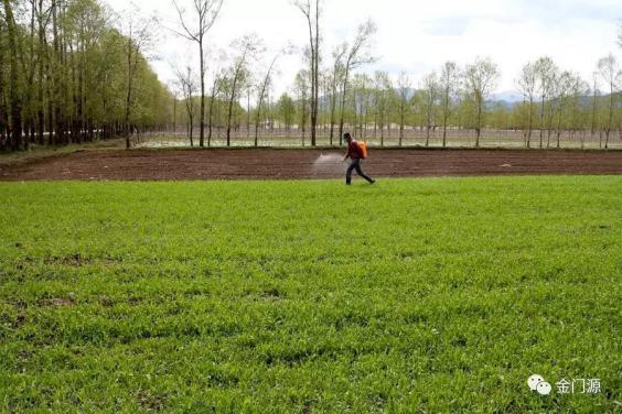 门源:多渠道促进一二三产业融合发展 八方面