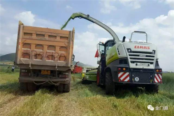 门源:北山乡发挥民营企业优势 助力脱贫攻坚