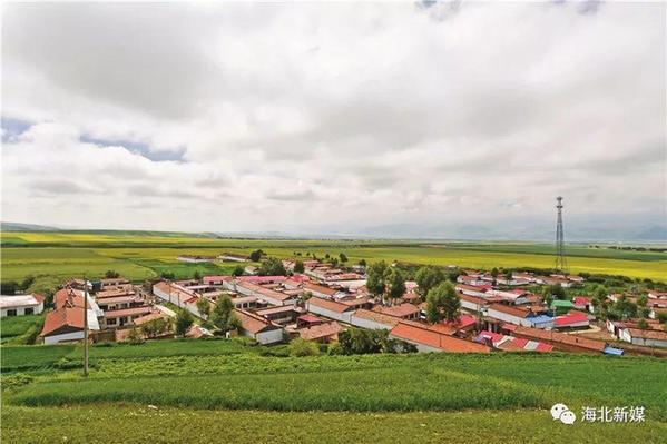 二届海北最美乡村(二) | 花海飘香农家美:沙沟脑